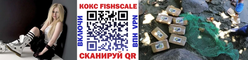 Кокаин FishScale  купить наркотики цена  mega ссылки  Оренбург 