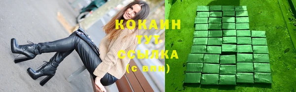 индика Абаза