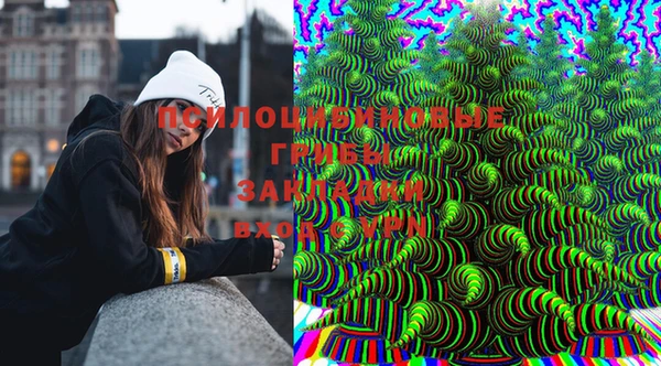 индика Абаза
