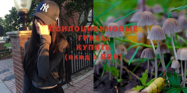 индика Абаза