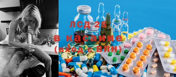 твердый Майский