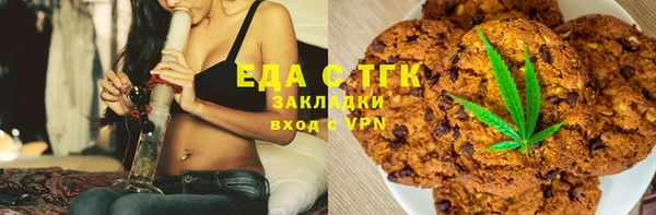 индика Абаза