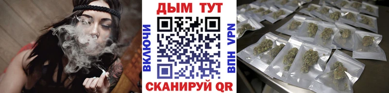 продажа наркотиков  Оренбург  Бошки марихуана ГИДРОПОН 